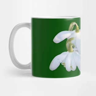 Springtime flowers Mug